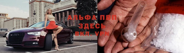 гидропоника Белоозёрский