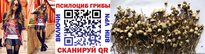Псилоцибиновые грибы прущие грибы  МЕГА маркетплейс  Чулым 