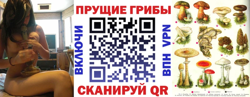Псилоцибиновые грибы прущие грибы Чулым